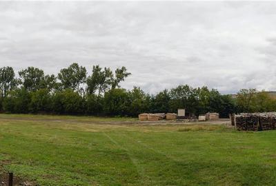 Hala industriala de 2700mp cu 3,1 ha teren intravilan in Miercurea Sibiului - 36