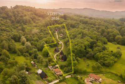 Teren de 11700 mp în mijlocul naturii la 2 ore de București - 5