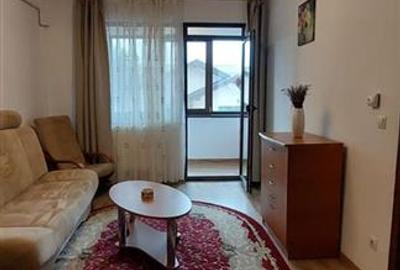 APARTAMENT 2 CAMERE VALEA LUPULUI 360 EURO - 12