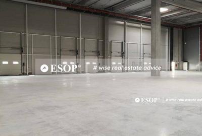 MLP Bucharest West, spatii industriale Chitila, 2.000 - 16.800mp - 4
