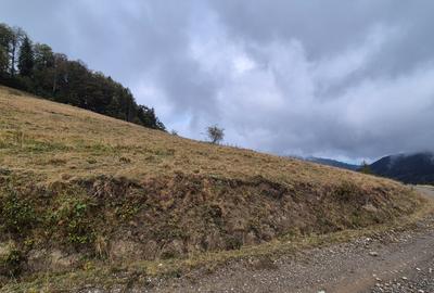 Teren deosebit in cadru de poveste langa cabana Diham, Glajerie - 2