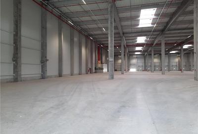 Spatiu Industrial - 2300 mp - Logistica - Productie - Depozitare - Distributie - 3