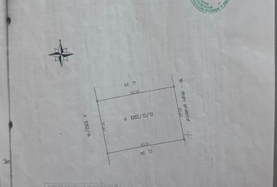 Teren Viile noi extravilan - 3