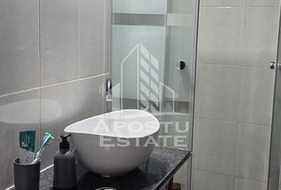 Apartament 1 camera, parter,zona Take Ionescu/Tipografilor, Timisoara - 5
