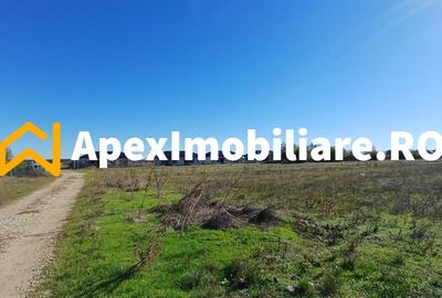 Corbeanca - Tamasi | Teren 1225mp, deschidere 44ml | Utilitati la 50m - 14