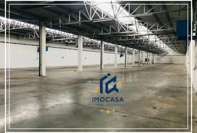 Hala de Inchiriat, comercial , industrial, logistica, Uta, Arad - 4