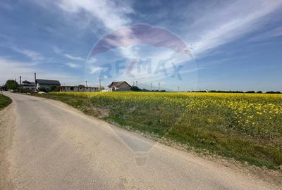 Teren 545,000mp Dragomiresti-Vale - 13