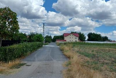 Vând teren intravilan – Crivăț, Călărași - 3