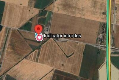 Teren de vanzare, Ordoreanu, Ferma de Struti, pret discutabil - 3