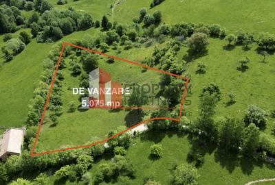 Teren Construcții intravilan de 5075 mp, în Bran