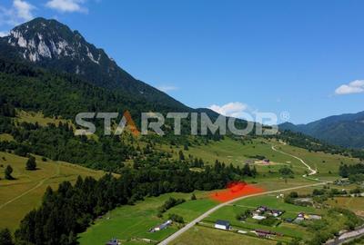 Teren Construcții intravilan de 7600 mp, în Vest