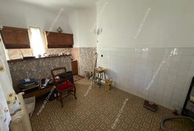 Casa individuala 2 apartamente | 310 mp utili |  clinica / birouri Elisabetin - 17