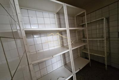 Spatiu Comercial ***223mp // Parcul Carol - 26