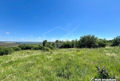 Oportunitate investitie, Chinteni, zona Macicas 31.600 MP - 9