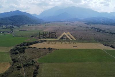 Teren Extravilan pretabil PUZ –  Brasov, Rasnov zona Panicel | 29.300mp - 3