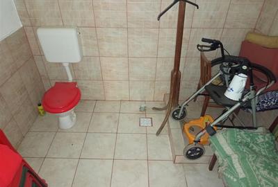 Bradisoru de Jos, Casa 14 Incaperi + Teren 1439MP - 20