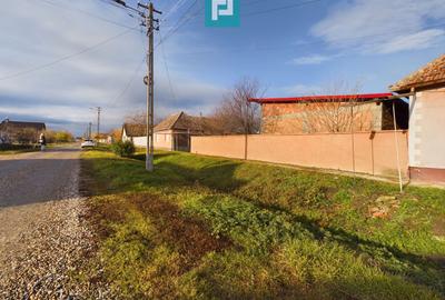 Casă cu teren generos, Turnu - 23