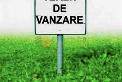 Teren intravilan zona Merei - 1