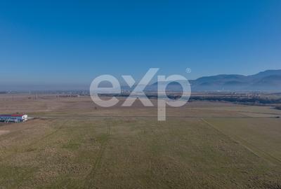 Teren 11.600 mp – Râșnov, zona Tabăra, 230 m de DN 73 - 7