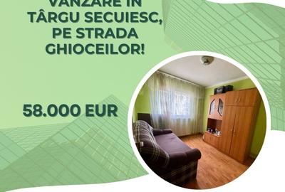 Apartament cu 2 camere de vânzare în Târgu Secuiesc, pe strada Ghioceilor! - 1