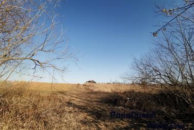 Silistea Snagovului teren intravilan 900 mp + 100 mp drum servitute - 6