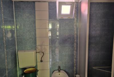 Casa 4 camere libera la vanzare VLADENI - 10