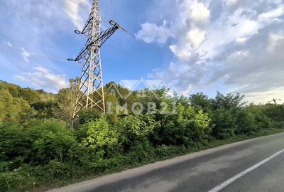 Teren spectaculos cu padure, livada si priveliste panoramica in Soimari PH - 15
