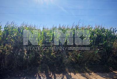 Teren agricol extravilan de 4500 mp, în Periferie