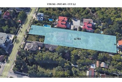 Teren Construcții intravilan de 4871 mp, în Iancu Nicolae