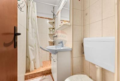 Apartament cu 4 camere de închiriat în zona Banu Maracine - 6