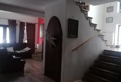 Casa spatioasa Traian - 16