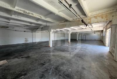 Hala industriala, 300 mp,  zona Dambul Rotund - 4