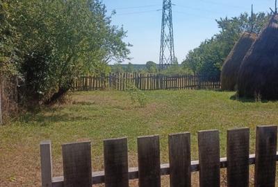 Teren Intravilan, situat in Sat Tismana (zona Gornovita) - 4