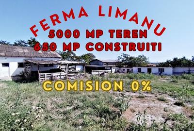 Ferma de vanzare in Limanu