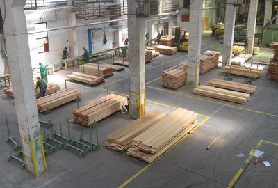 Hala industriala de 2700mp cu 3,1 ha teren intravilan in Miercurea Sibiului - 13