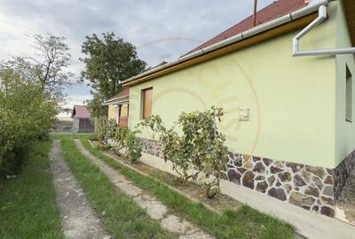 Casa 4 camere, Teren 3.405 mp Loc. Dindestiu Mic Jud. Satu Mare-Comision 0% - 2