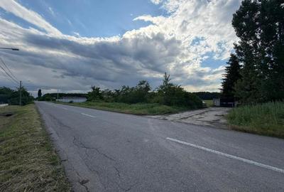 Casa Puchenii Mari, teren intravilan 5,000 mp2. - 9