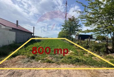 Teren Intravilan de vanzare 800 mp Valea Dacilor Medgidia - 1