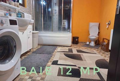 Vând două corpuri de casă 300mp și curte 1325mp - 11