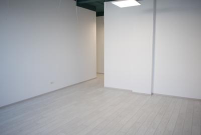 Închiriere spații de birouri - Dumbrăvița, str. Belgrad - 3