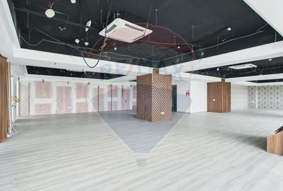 Spațiu de birouri disponibil spre închiriere în Băneasa 171–615 mp - 1