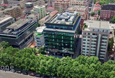 Birou, 568 mp în Herăstrău