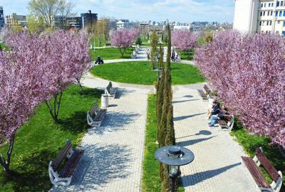 Campus | Apartament langa parc cu parcare subterană și bucătărie închisă - 15