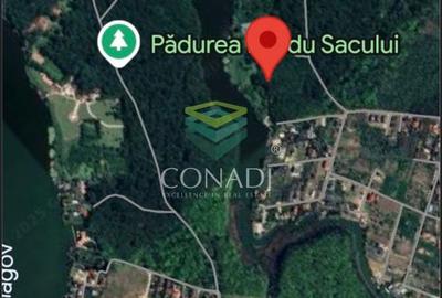 Oportunitate-Teren Snagov cu Deschidere Directa Lac si Padure 12.135mp - 3