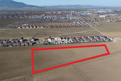 Teren 12.500 mp Ghimbav – Cartierul Florilor | Ghimbav | Brașov - 5