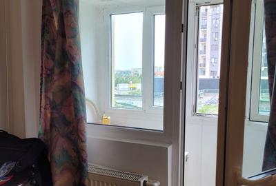 Dristor, garsoniera langa Kaufland, 5 minute metrou, PET FRIENDLY - 15