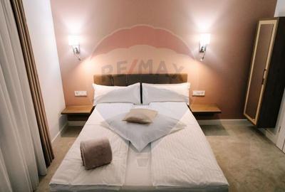 Pensiune cu 8 camere de vânzare - 15