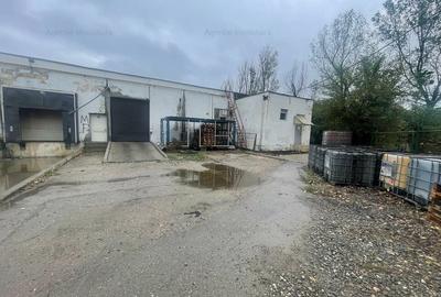 Hala 1574 mp si teren 6199 mp intre Buftea si Crevedia - 1