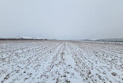 Teren industrial de vanzare in Stupini - 1