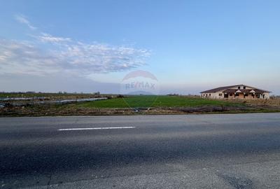 Teren 12,360mp Botarlau / Strada Unirii - 1